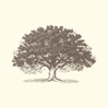 Menlo Coaching logo
